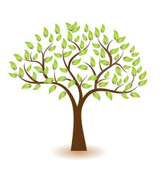 Fototapeta na wymiar Stylized vector tree with green leafs. Element design