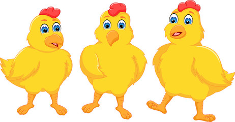 sweet three baby chicken cartoon