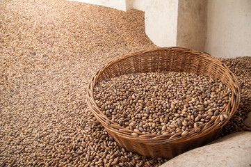 Big wicker basket full of pistachios of Bronte, Sicily