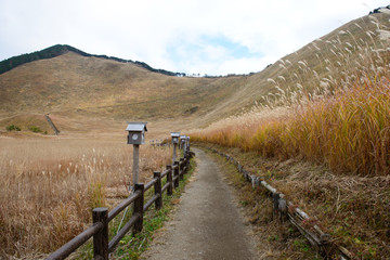 晩秋の散歩道