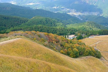 晩秋の高原