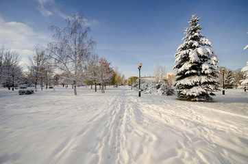 Landscape of a city park in white snow in winter
