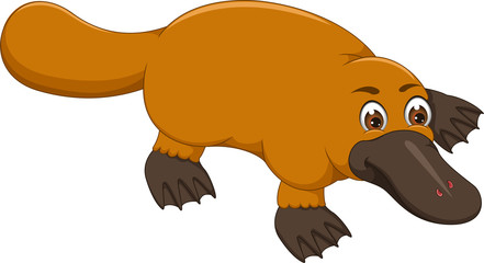 funny platypus cartoon crawl with smile