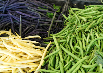 close up on fresh colorful bean for design