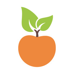 orange fruit icon image vector illustration design 