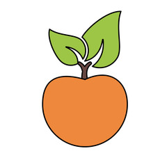 orange fruit icon image vector illustration design 