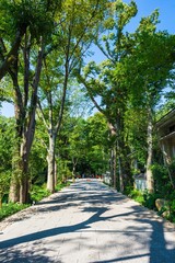 京都 下鴨神社 参道