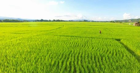 Abwaschbare Fototapete Reisfelder Bild eines schönen terrassierten Reisfeldes in der Wassersaison und Bewässerung von Drohnen, Draufsicht auf Reisfeld, Nan, Thailand