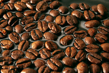 Coffee beans / Coffee is a brewed drink prepared from roasted coffee beans