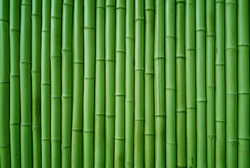 Many green bamboo lined up in panels ,Green bamboo background