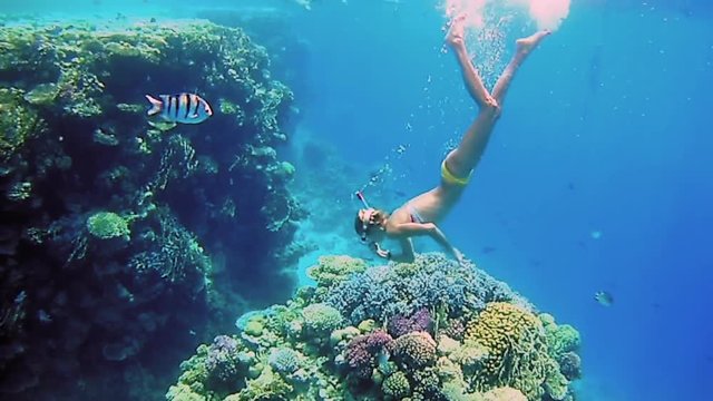 Beautiful woman dive underwater in snorkeling diving mask into clear blue sea water. Tropical underwater reef diving. Woman with a good figure slow motion shot.