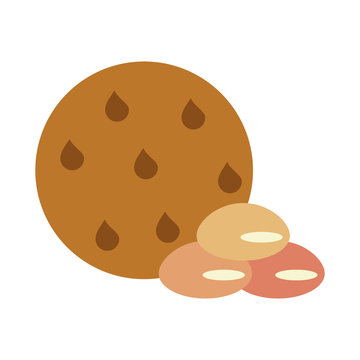 chocolate chip cookie pastry related icon image vector illustration design 