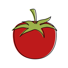 tomato fruit icon image vector illustration design