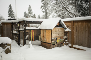 Chicken coop © Paloma Ayala