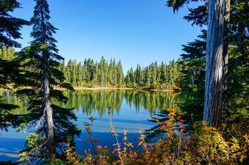 Strathcona Provincial Park: Forbidden Plateau ~ Paradise Meadows, Battleship Lake