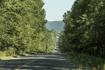 Old Canada forest Highway new Brunswick to Nova Scotia