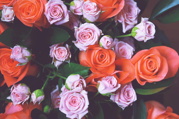 Roses, a bouquet of roses.  Background