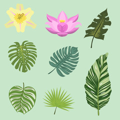 Obraz premium Tropical leaves summer green exotic jungle palm leaf nature plant botanical hawaii flora vector illustration.