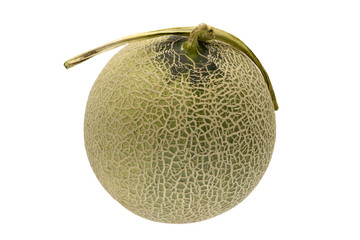 メロン　北海道赤肉メロン　白抜き