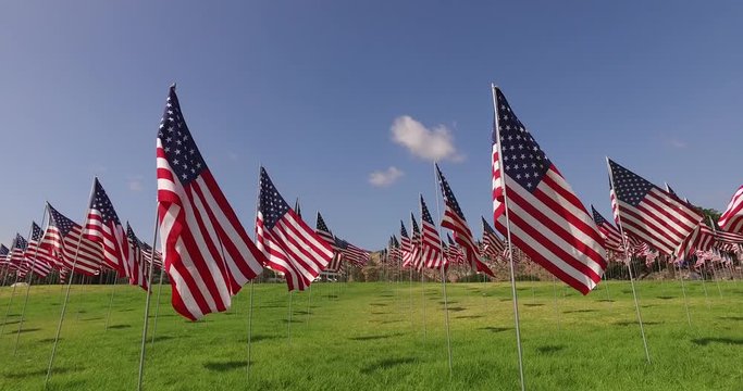 Set of American flags fluttering in the wind on the Memorial Day. Los Angeles, California, USA.