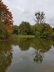 Staw parkowy © michalsen