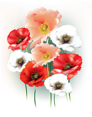 Beautiful red, pink and white abstract poppies