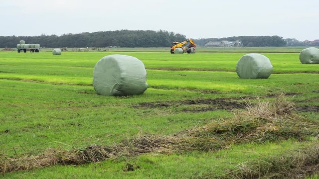 round hay bale picked up by telescopic loader
