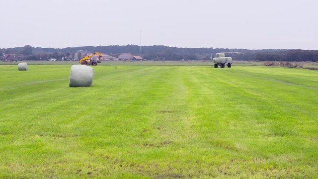 harvesting hay on the dutch island of Terschelling