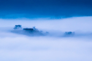 竹田城跡の雲海