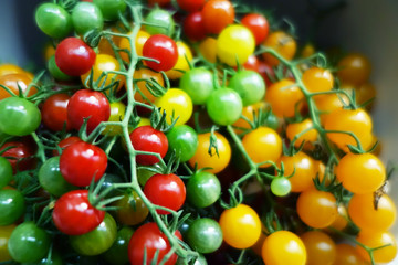 Red, green and yellow cherry tomatoes