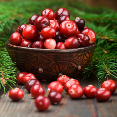 Fresh wild cranberry (lingonberries, cowberry) on wooden background with fir branches. Selective focus