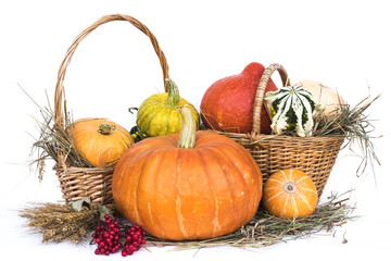 Harvest gourds in basket on a white background