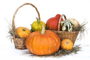Harvest gourds in basket on a white background