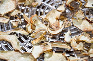 drying mushrooms