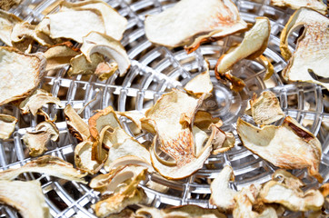 drying mushrooms