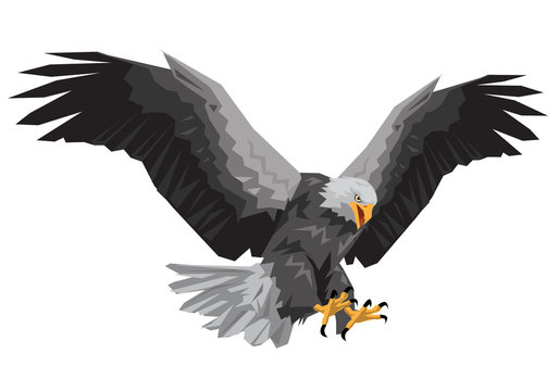 Bald eagle flying winged swoop polygon on white background vector illustration.