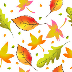 Fototapeta na wymiar Vector and illustration seamless pattern of autumn fallen leaves, red, orange, yellow and green color leaves
