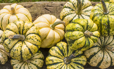 pumpkin set