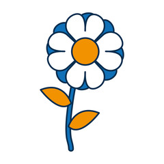 beautiful flowers design