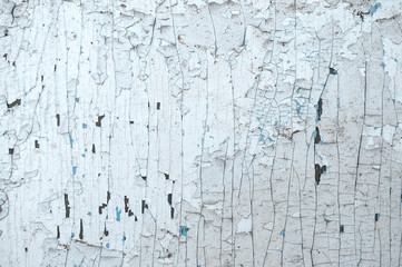 Old wooden painted light blue rustic background, paint peeling
