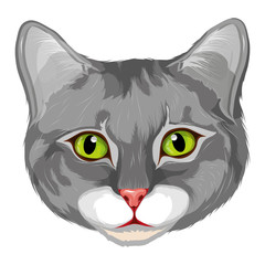 cat logo