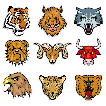 animal heads set including bengal tiger, wild boar, wolf, bulldog, ram, bull, eagle, leopard, grizzly bear