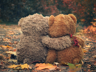 Two Teddy bear hugging each other and looking at the autumn forest - obrazy, fototapety, plakaty