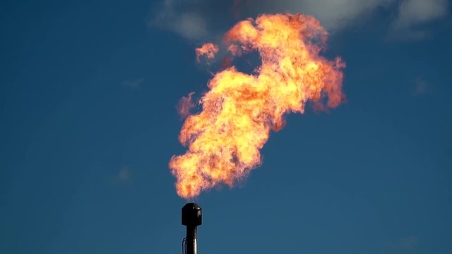 Oil torch. Huge oil plume. Flame height of about 20 meters. Siberian taiga. Slow motion
