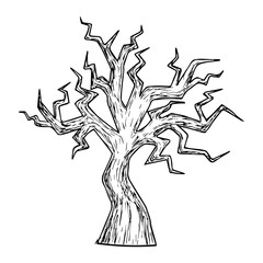 Old dry tree, scary Halloween sketch illustration. Vector