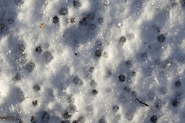Snow after snowfall