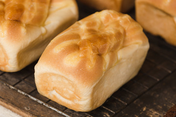 Thai food bakery closeup baked bread background