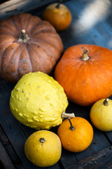 Pile of small decorative pumpkins