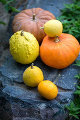 pumpkins on stone