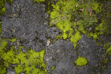 Mossy old rough stone surface texture